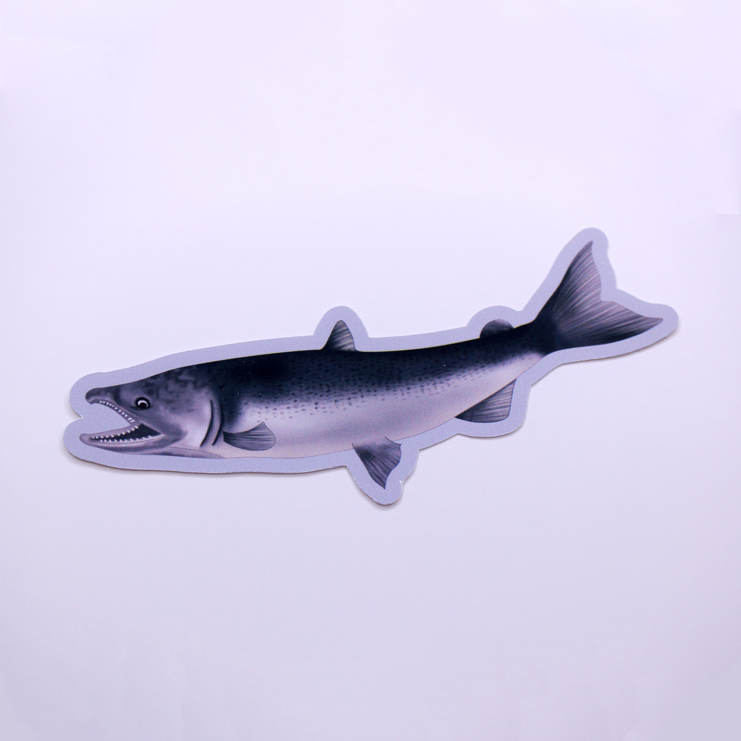 Salmon Die Cut Sticker