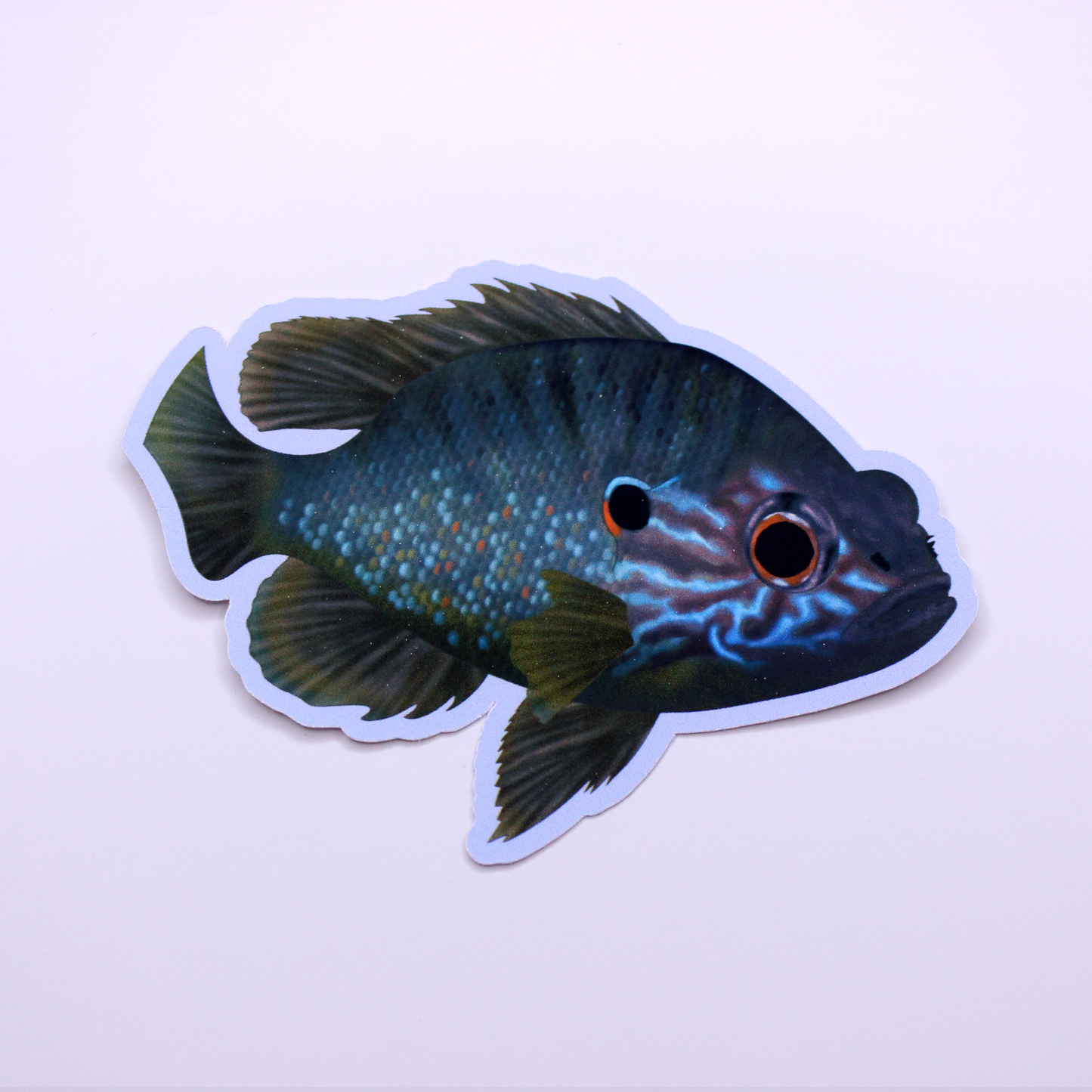 Pumpkinseed Die Cut Sticker