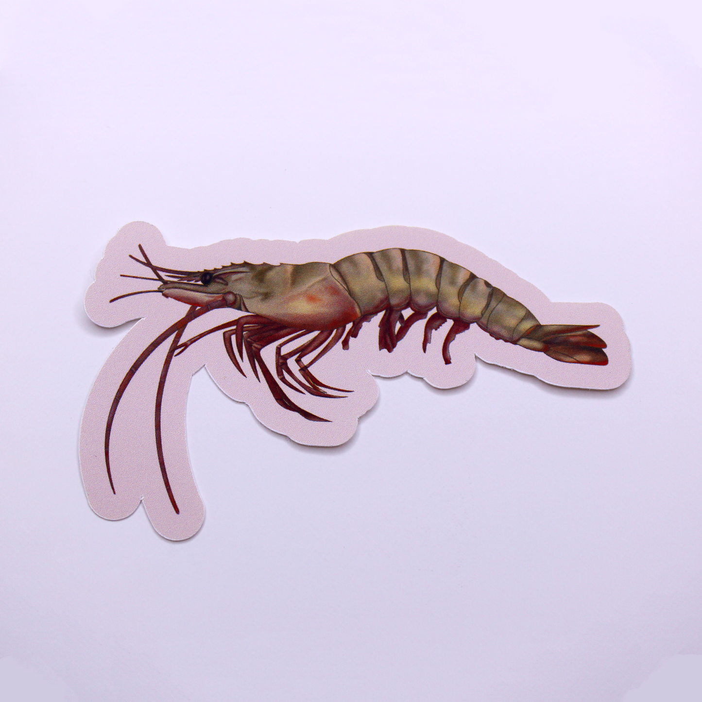 Prawn Die Cut Sticker