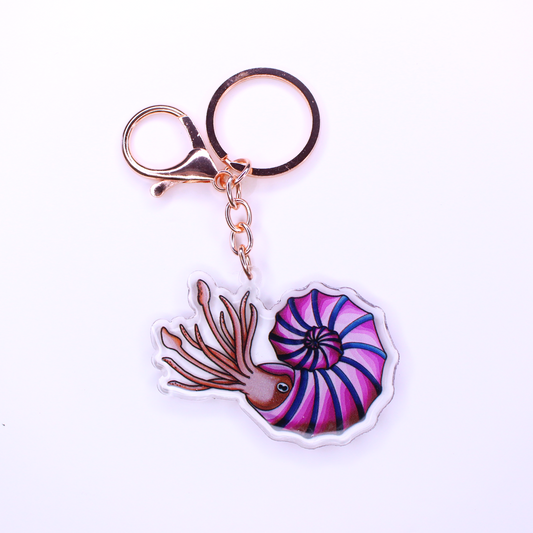 Ammonite keychain