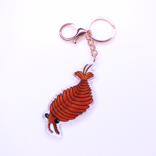 Anomalocaris Keychain