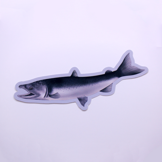 Salmon Die Cut Sticker