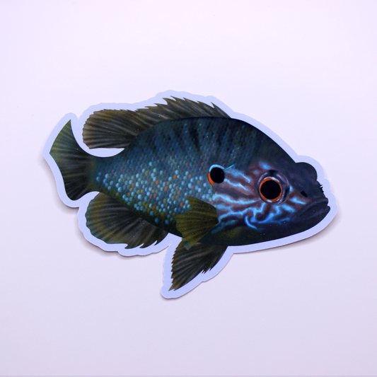 Pumpkinseed Die Cut Sticker