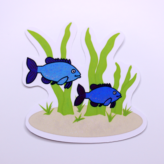 Pumpkinseed Couple Die Cut Sticker
