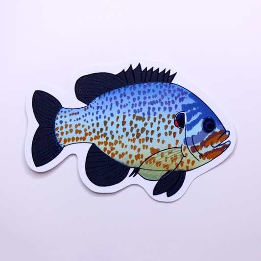 Cute Blue Pumpkinseed Die Cut Sticker