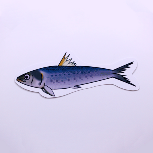 Cute Sardine Die Cut Sticker