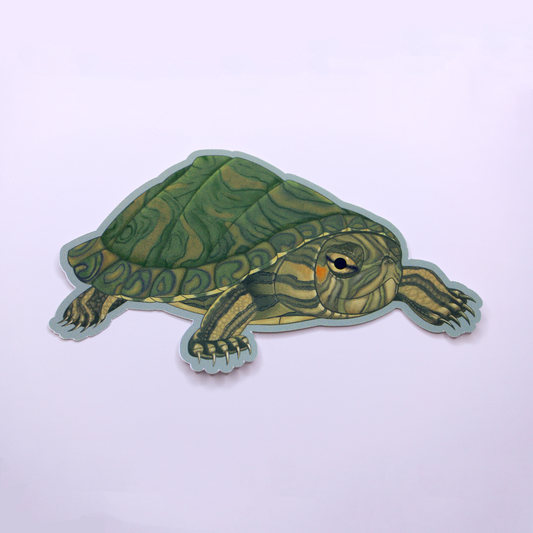 Turtle Die Cut Sticker