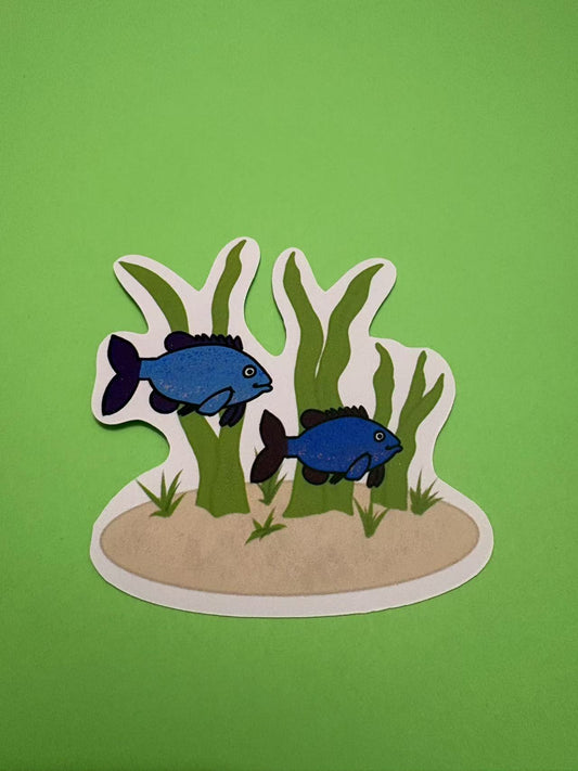 Pumpkinseed Couple Die Cut Sticker
