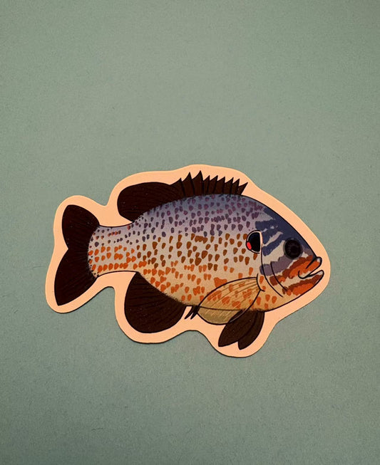 Pumpkinseed Cute Blue Die Cut Sticker