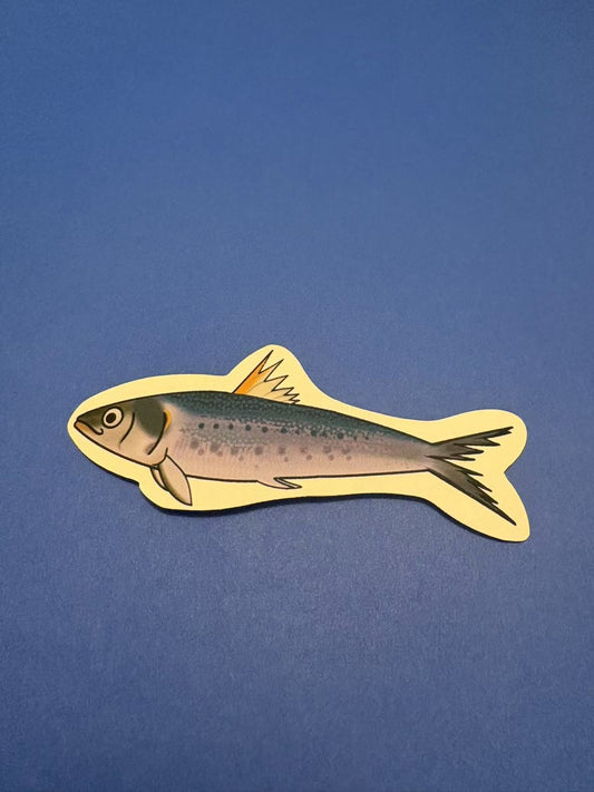 Sardine Die Cut Sticker