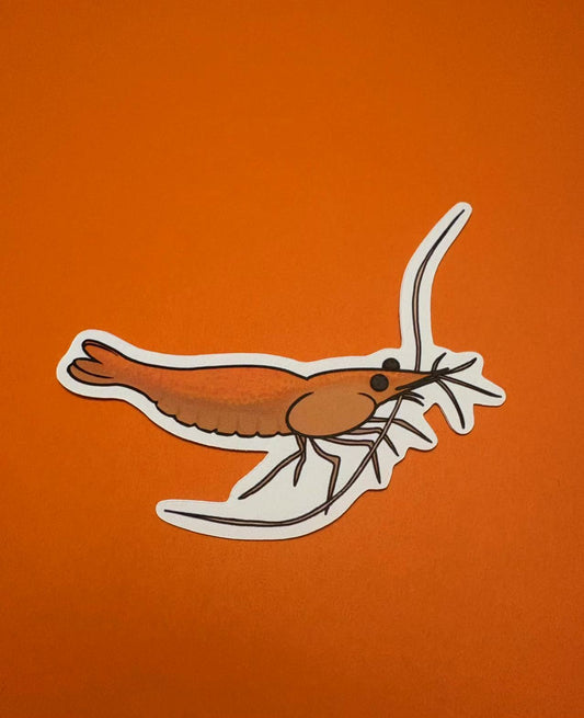 Orange Shrimp Die Cut Sticker