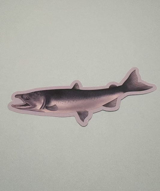 Salmon Die Cut Sticker